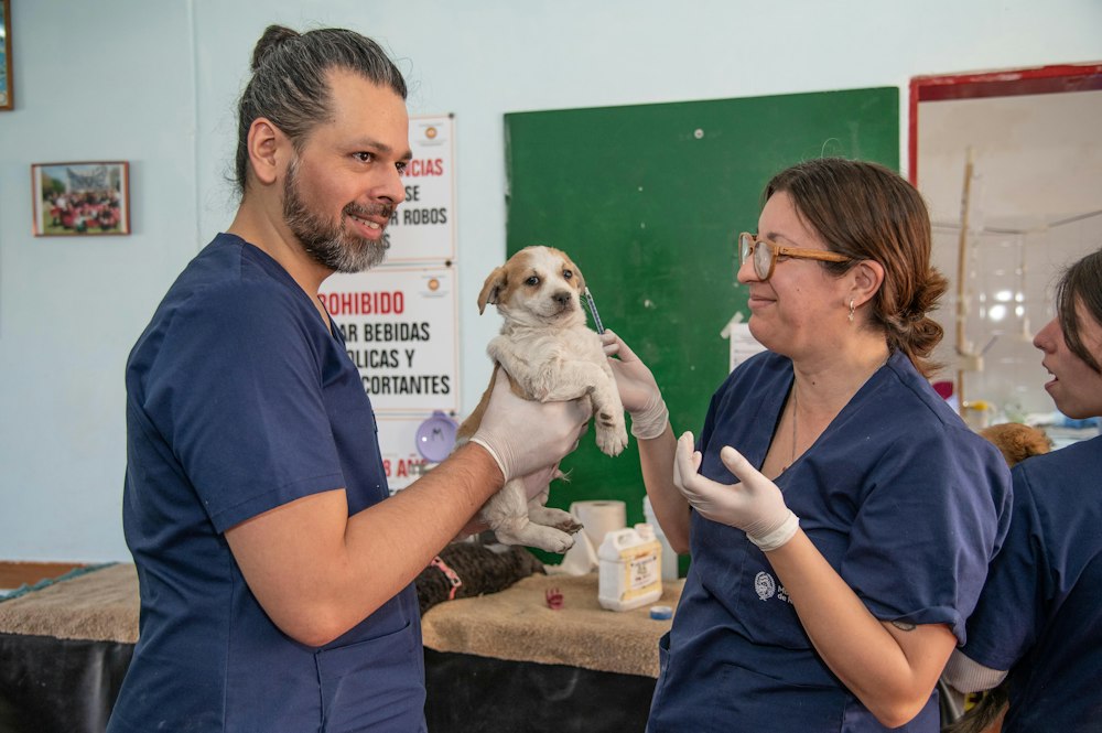 Two vets holding a puppy